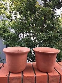 A pair of terracotta hanging basket