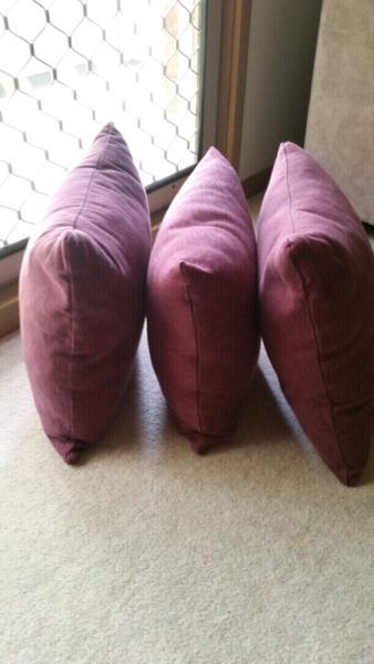 Cushions x 3
