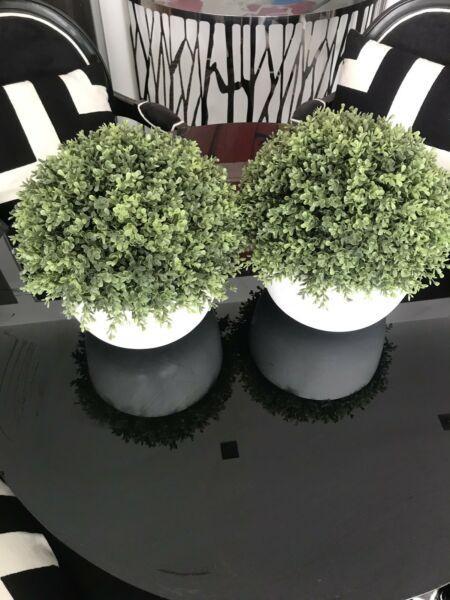 2 artificial English box pot plants