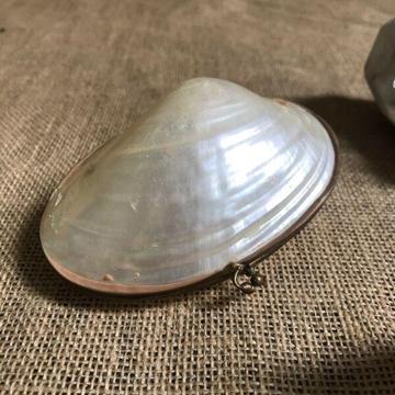 VINTAGE MOTHER OF PEARL SHELL BOX
