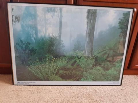 Framed Rainforest Print - MOVING SALE - Hampton 3188