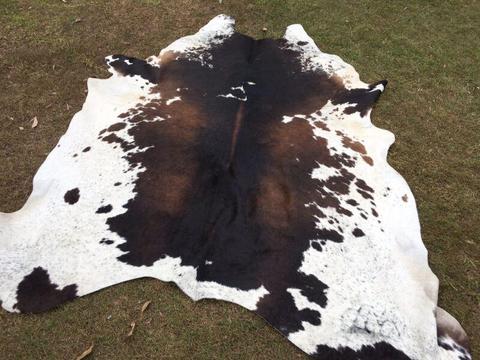 A grade cow hides for 2nd grade price $300-$330 floor mats skins
