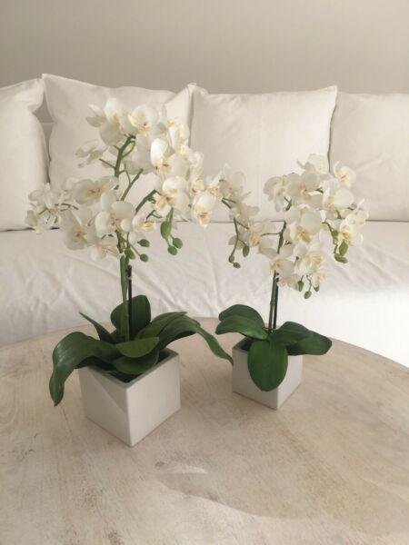 2x faux phalaenopsis orchids small and large