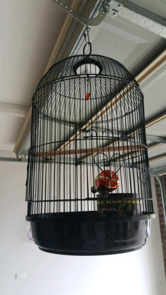 Bird Cage for home decoration