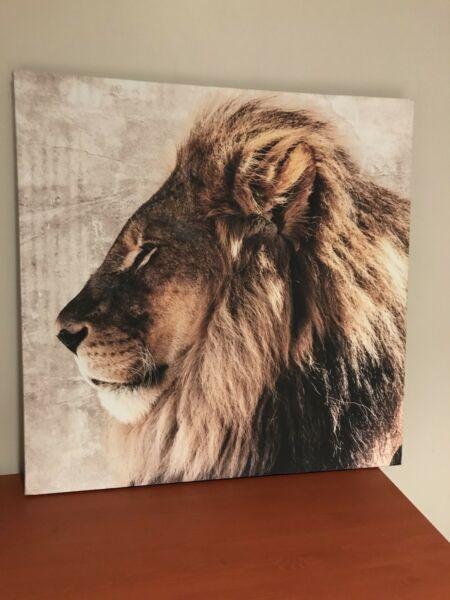 Lion Head Canvas