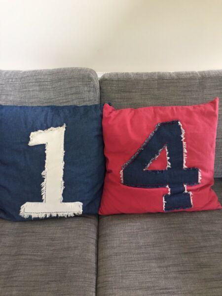 Cushions x 2 ($15 each)
