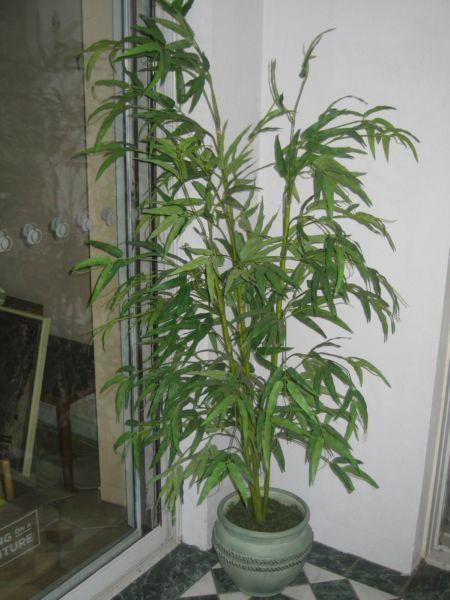 Artificial plant in pot, free standing