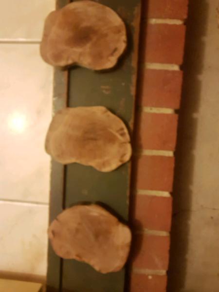 hand made wooden coasters