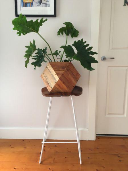 Solid teak bar stool or plant stand with iron legs - Danish design