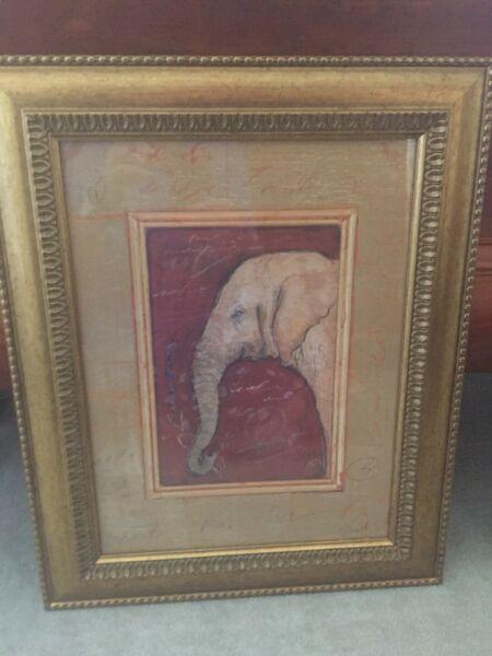 Framed elephant prints