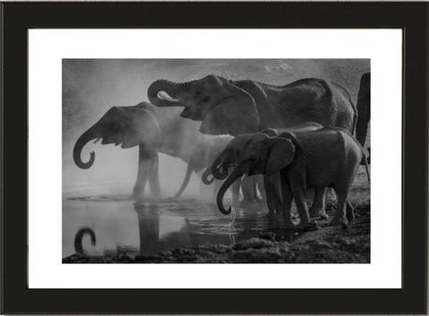 A4 Framed Elephants at the Watering Hole Photo Poster Print