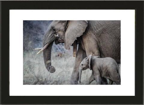 Elephants Mother and Daughter A4 Framed Photo Poster Print Decor
