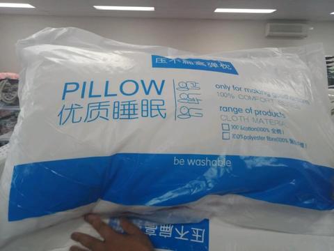 Pillows n Pillow Cover