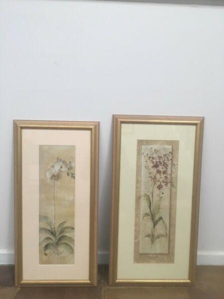 Orchid Print Poster X 2