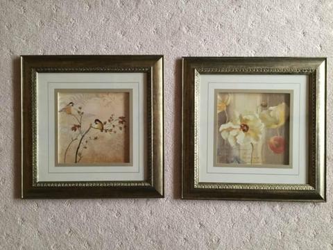 Pictures Framed Birds and Flowers