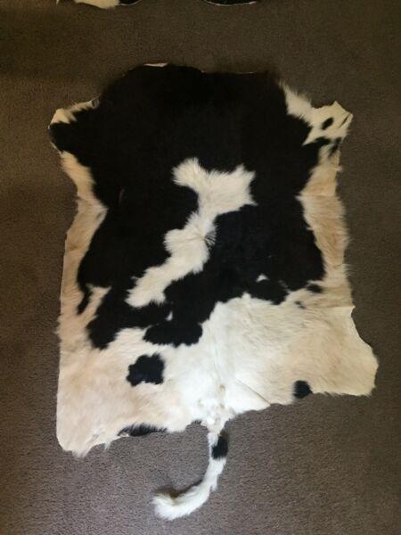 Cow Hide floor rug