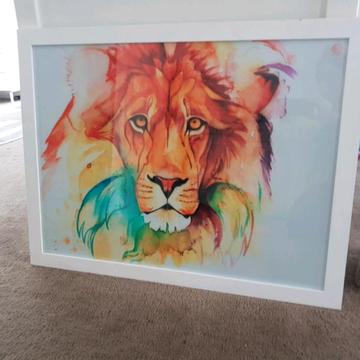 framed lion priny