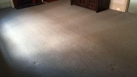 Carpet wool commercial 3 rooms and hall way