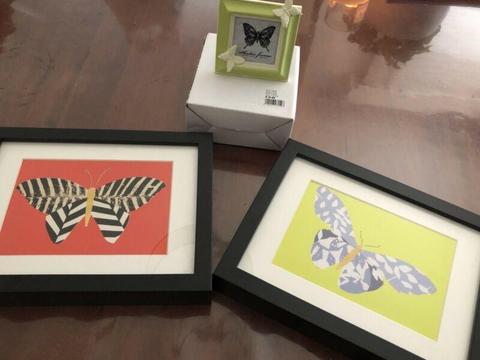 Gorgeous butterfly frames