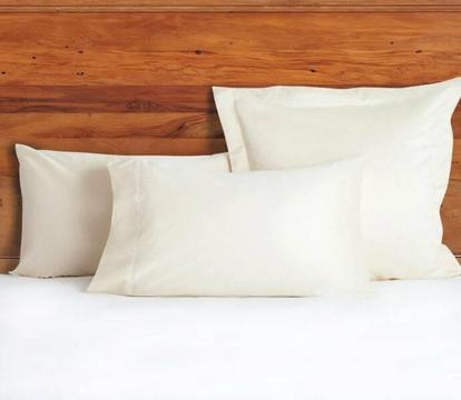 1200 TC Egyptian Cotton Pillowcases Standard x 2- Ivory