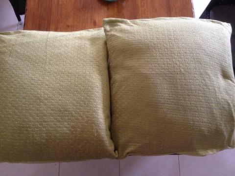 2 Large matching cushions