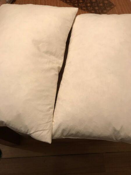 PILLOWS (2) feather & down filled, quality japara casing NOT USED