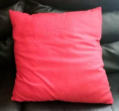 2 cushions sale for $1