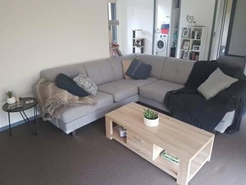 Couch/Bed Accessories - Great Condition!