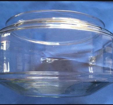 Glass Fish bowl or Terrarium