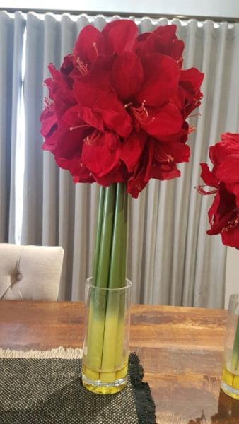 Two beautiful red flower vases for sale