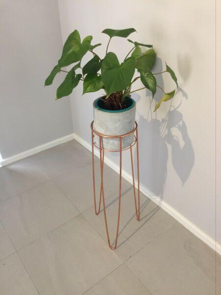 Adairs copper mid Century style plant stand