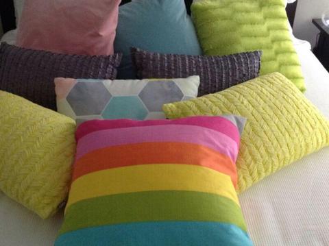 Urgent sale cushions $40 for all of them .... Please!
