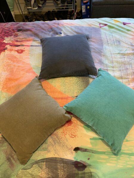 Adair's cushions - $20 each or all 3 for $50 - never used