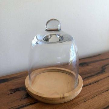 Wanted: Glass bell jar
