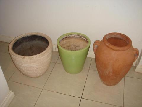 Plan pots for home decor
