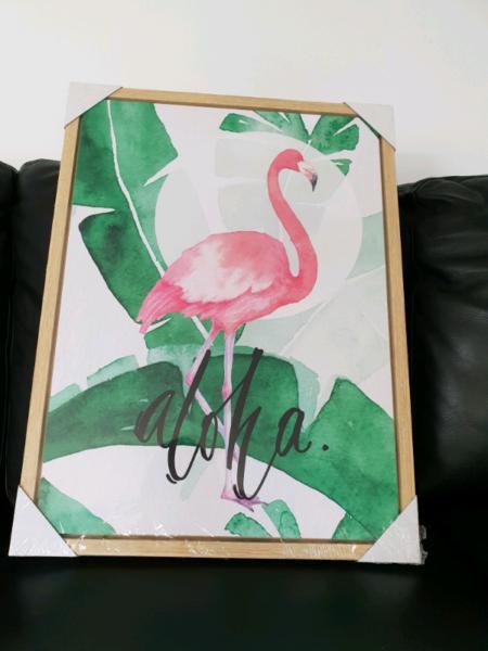 Flamingo framed photo