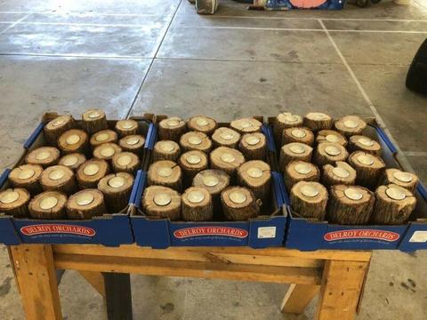 48 wooden candle holders