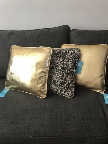 3 Cushion Covers (43cms x 43cms)
