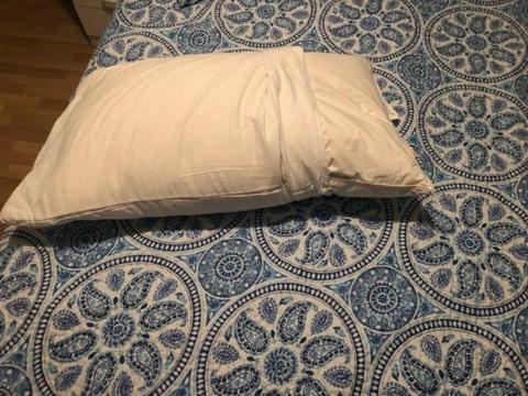 2 Pillows for bed