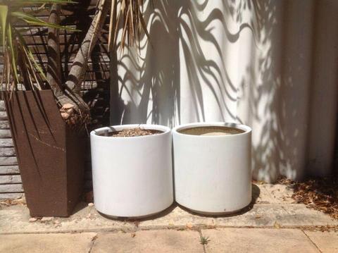 2 X Plant Vase Outdoor Plants Tree White Color Pot Home Garden Decor