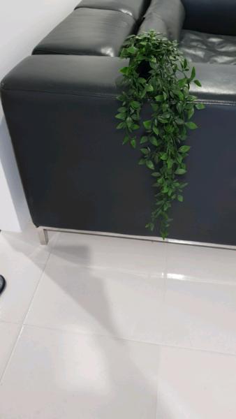 Artificial plants from IKEA