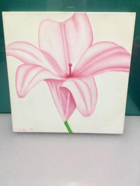 Beautiful Pink Frangipani Stretched Canvas
