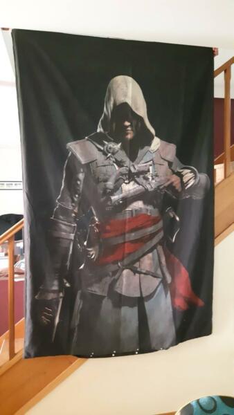 2x Single Bed Assassin's Creed Black Flag doona covers