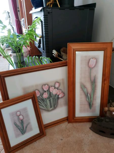 Tulips picture frame