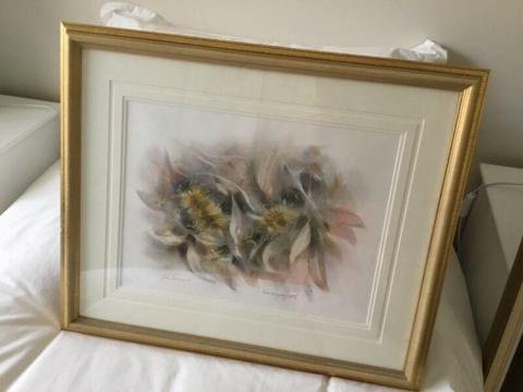 Framed pastel drawing Australian honeysuckle