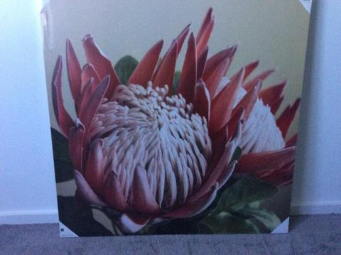 Large protea wall art