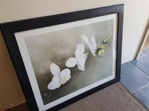Framed Print Picture
