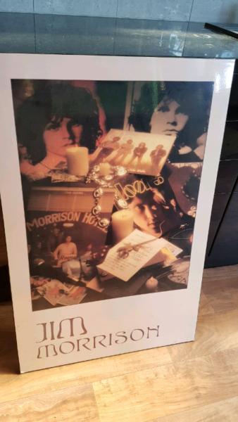 The Doors Jim Morrison mounted poster