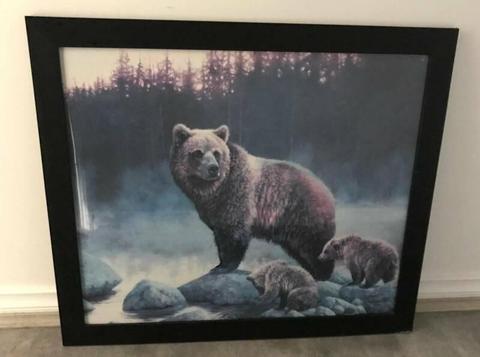 Grizzly Bear and Cubs Framed Print, Good Condition