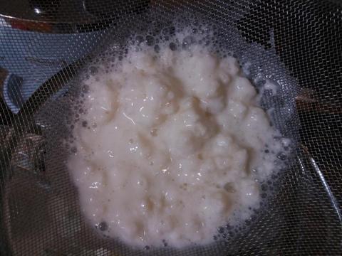 KEFIR MILK GRAINS with glass container